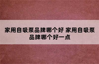 家用自吸泵品牌哪个好 家用自吸泵品牌哪个好一点